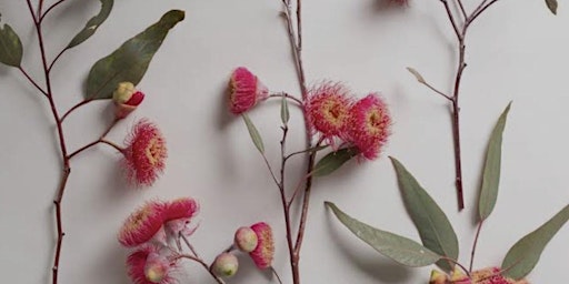 Intro to Aus Bush Flower Essences primary image
