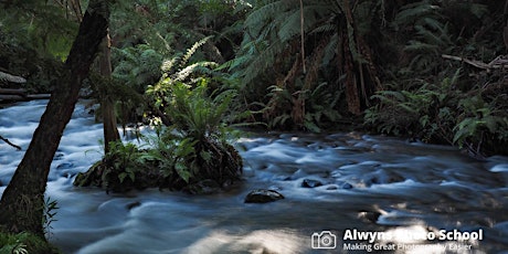 Rivers/Redwoods & Rain-Forests-Landscape Photography Course 2 (Warburton)