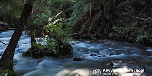 Rivers/Redwoods & Rain-Forests-Landscape Photography Course 2 (Warburton) primary image
