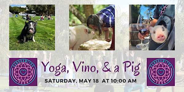 Yoga, Vino, & a Pig