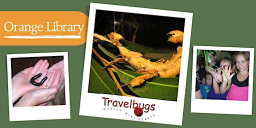 Imagem principal do evento Travelbugs - Orange City Library