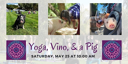 Yoga, Vino, & a Pig primary image