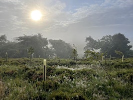 Primaire afbeelding van International Dawn Chorus Day Sunday May 5th 2024