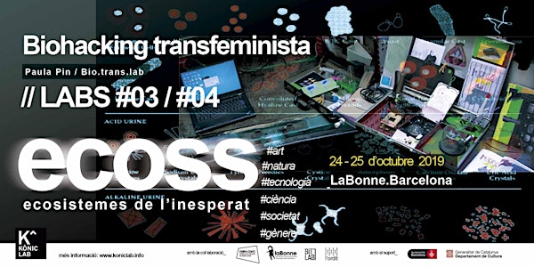‘ECOSS’ 2019: Laboratori d’Ecologies queer: gènere, sexualitat i entorn.