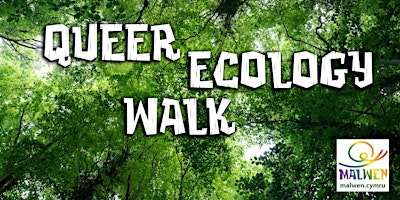 Primaire afbeelding van Queer Eco Walk at Brithdir Mawr