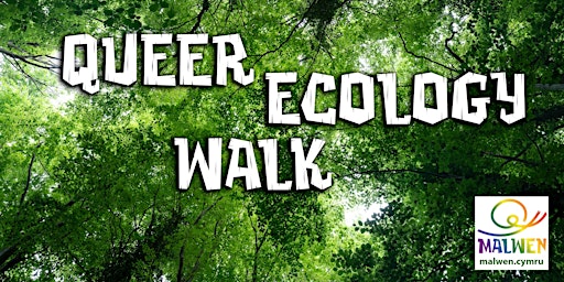 Primaire afbeelding van Queer Eco Walk at Brithdir Mawr