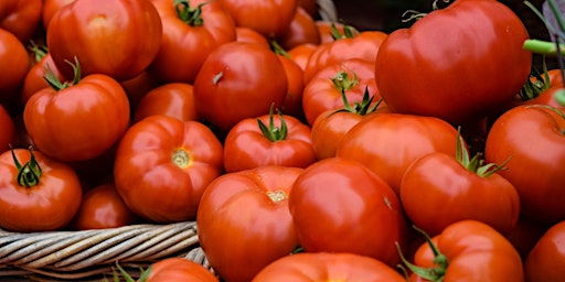 Imagen principal de Let's Talk Tomatoes Cooking Class