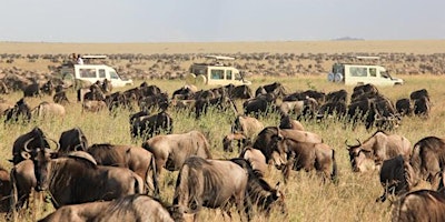 Primaire afbeelding van GREAT Safari-Group Trip - Tanzania + Kenya