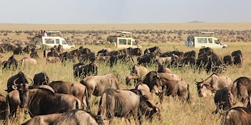 Imagem principal de GREAT Safari-Group Trip - Tanzania + Kenya