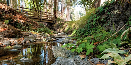 Berkeley Creek Walk + Kingman Hall Creek Celebration!