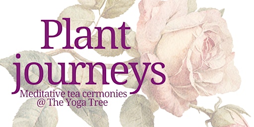 Imagem principal do evento Plant Journeys - Meditative tea ceremony
