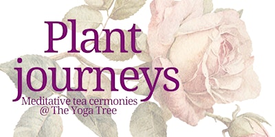 Plant Journeys - Meditative tea ceremony primary image