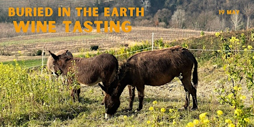 Buried in the Earth: Wine Tasting