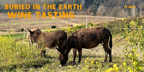 Buried in the Earth: Wine Tasting