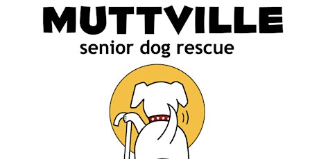 Yoga at Muttville Senior Dog Rescue