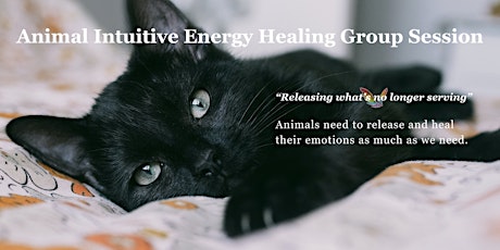 Animal Intuitive Energy Healing Group Session