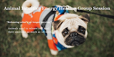 Imagen principal de Animal Intuitive Energy Healing Group Session