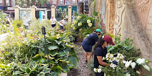 Hauptbild für Carmen's Garden Volunteer Day