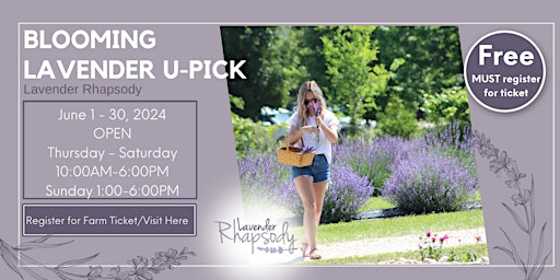 Imagem principal do evento Blooming Lavender U-Pick