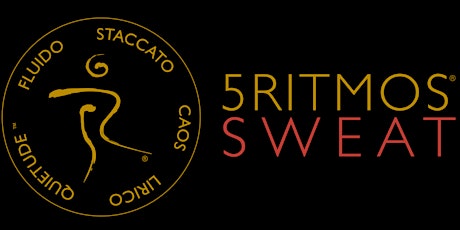 5Ritmos Sweat