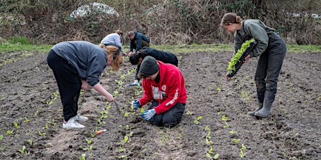 Hauptbild für Volunteer at 21 Acres: Farm Stewardship