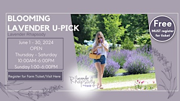 Blooming Lavender U-Pick primary image