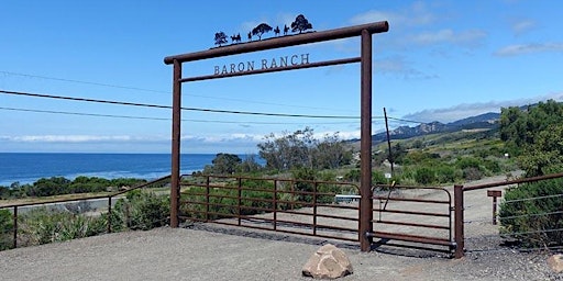 Primaire afbeelding van Spring Hike on the Gaviota Coast!