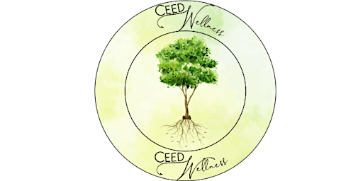 Imagen principal de Plant Your Seeds Meditation Series