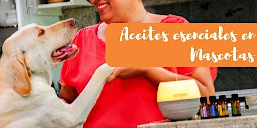 Primaire afbeelding van Aceites esenciales en Mascotas