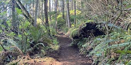 Discovery Loop Trail Party - Central Coast