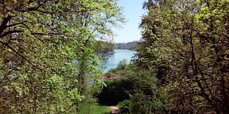 Forest Bathing Nature Walk