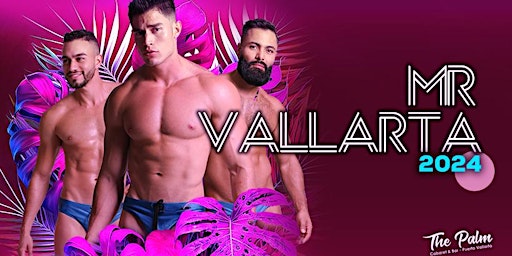 Imagen principal de Mr Vallarta 2024