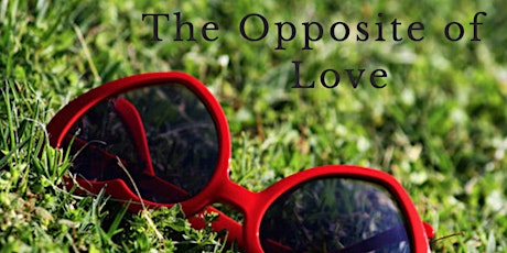 The Opposite Of Love