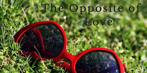 The Opposite Of Love primary image