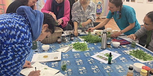 Hauptbild für Springtime Practical Plant Medicine Making Series with Community Apothecary