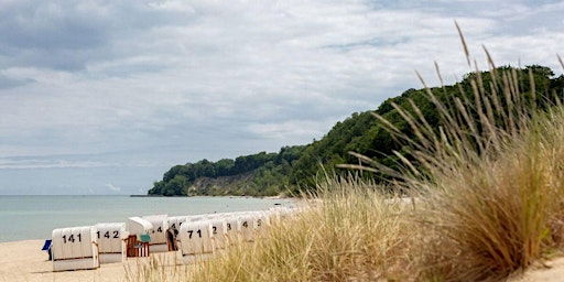 Vinyasa Yoga Retreat auf Rügen  primärbild