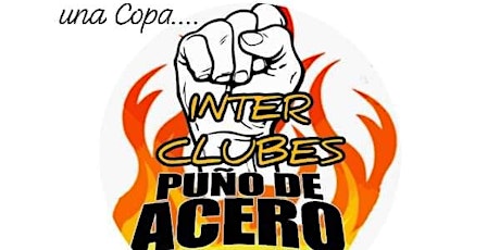 Imagen principal de Torneo Interclubes Puño de Acero