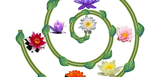 Immagine principale di Feel yourself blossom with this Chakra Garden guided meditation 