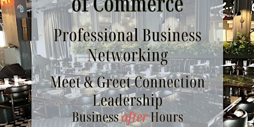 Professional Business Networking After hour primary image
