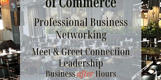 Primaire afbeelding van Professional Business Networking After hour