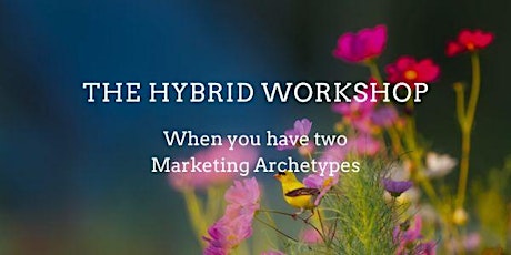 The Hybrid Workshop