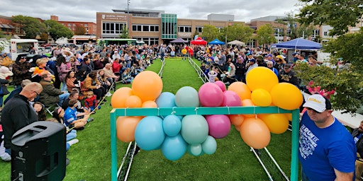 Primaire afbeelding van ICT Dachshunds Races