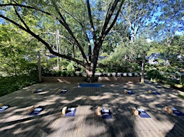 Imagen principal de Toronto Island Yoga & Nutrition Retreat