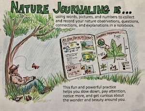 The Hive: Nature Journaling Workshop