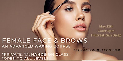 Female Face and Brows Waxing Course. Private, 1:1, Hands-on Class. primary image