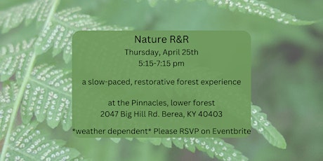 Nature R&R: a slow-paced, relaxing and restorative forest experience
