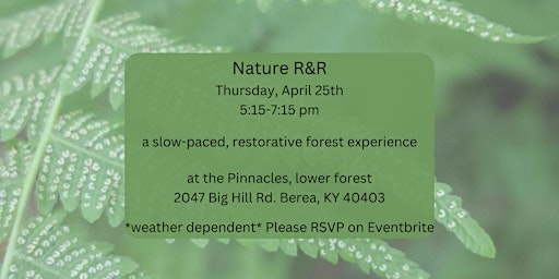 Nature R&R: a slow-paced, relaxing and restorative forest experience primary image