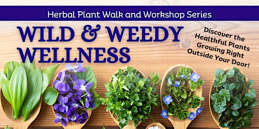 Imagen principal de Wild and Weedy  Wellness:  Herbal Plant Walk and Workshop