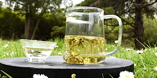 Discovery and Tasting Green Tea  primärbild