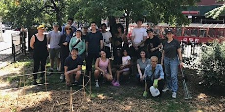 Tompkins Park Planting